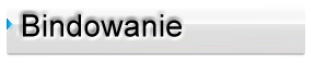 bindowanie