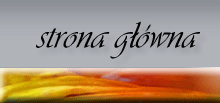 Strona główna